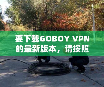 要下载GOBOY VPN的最新版本，请按照以下步骤操作
