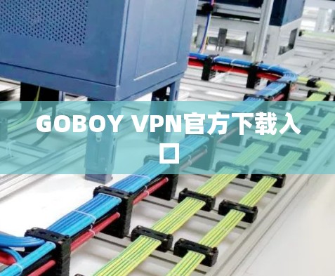 GOBOY VPN官方下载入口 GOBOY VPN官方下载入口
