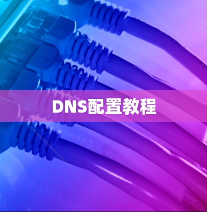 DNS配置教程