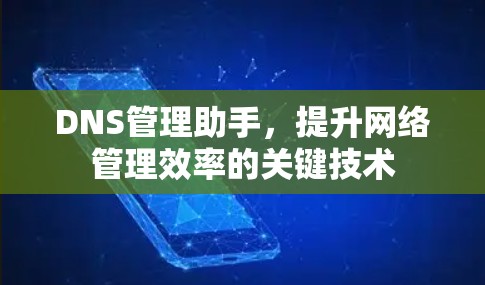 DNS管理助手,提升网络管理效率的关键技术